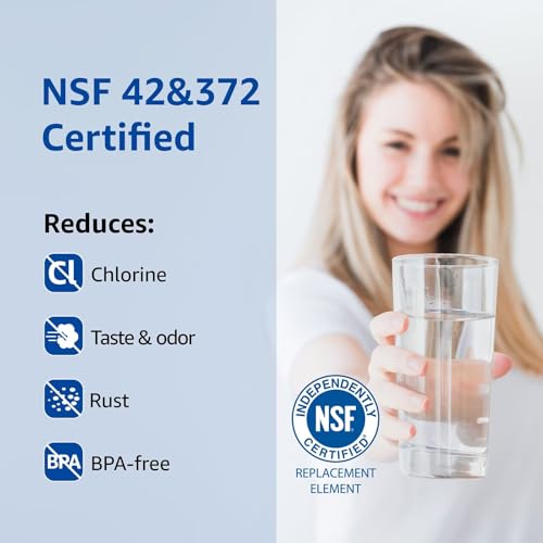 WF3CB Replacement Water Filter