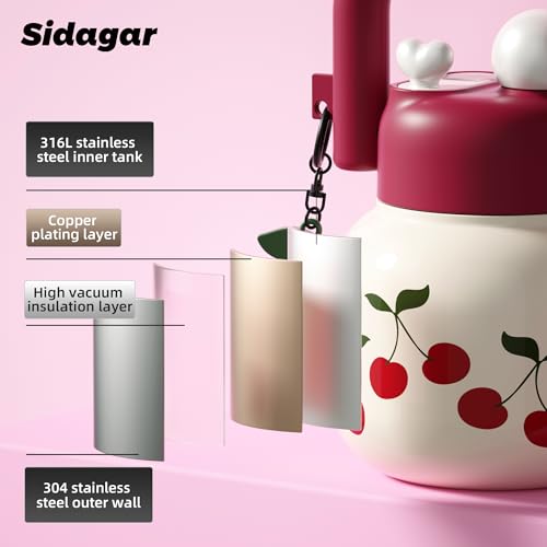 22 oz Insulated Stainless Steel Water Bottle with Handle