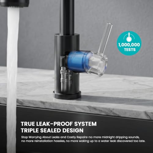 Kitchen Faucet with Pull Down sparyer