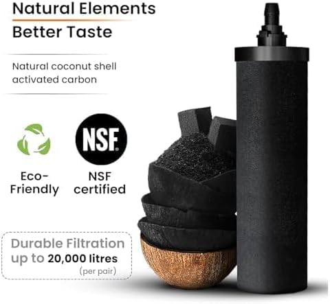 4.25G Water Filter with 2 Carbon Filters & Steel Spigot