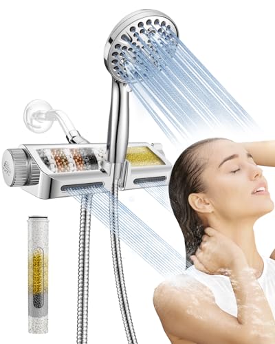 Filtered Shower Head with Handheld Combo
