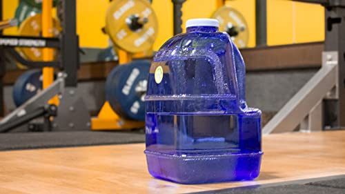 1 Gallon Square BPA Free Bottle with Screw Top Cap and Integrated Handle