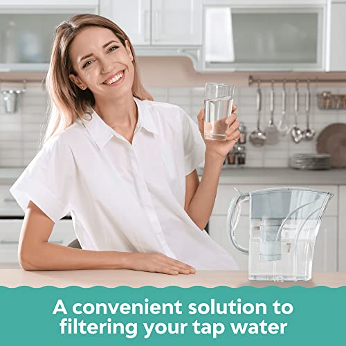 AMI Water Pitcher with Filter for Tap Water