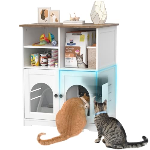Cat Feeding Station for Microchip Feeder with Dog