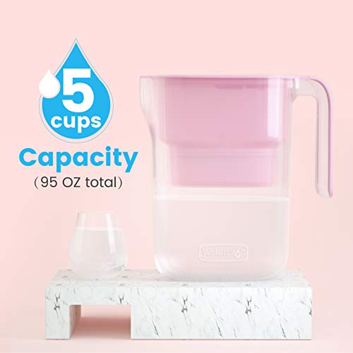 PT 05P Water Filter Pitcher with 4 Filters (2 Count)
