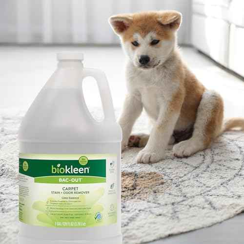 Bac Out Enzyme Cleaner (128 Fl Oz)