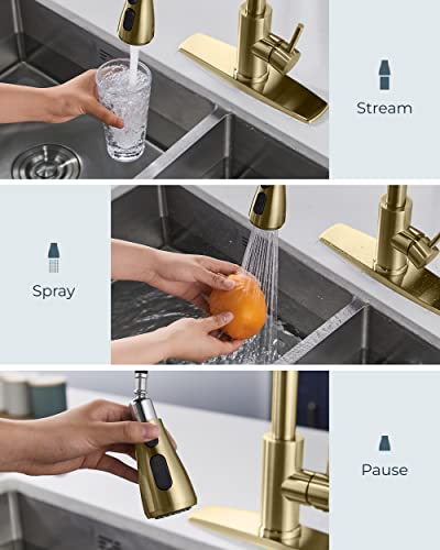 Gold Kitchen Faucet with Soap Dispenser