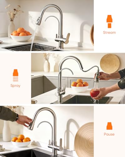 Kitchen Faucet with Water Filter Spout