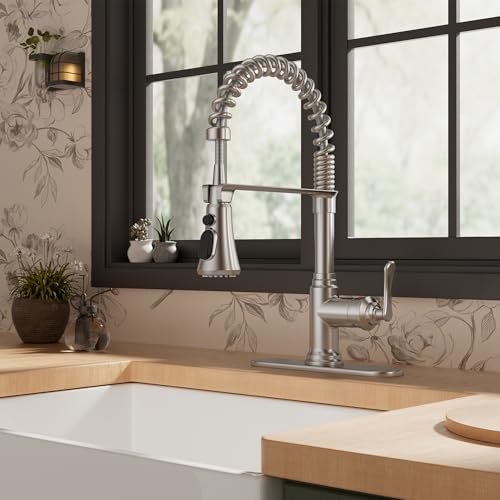 Rustic Kitchen Faucet with Pull Down Sprayer