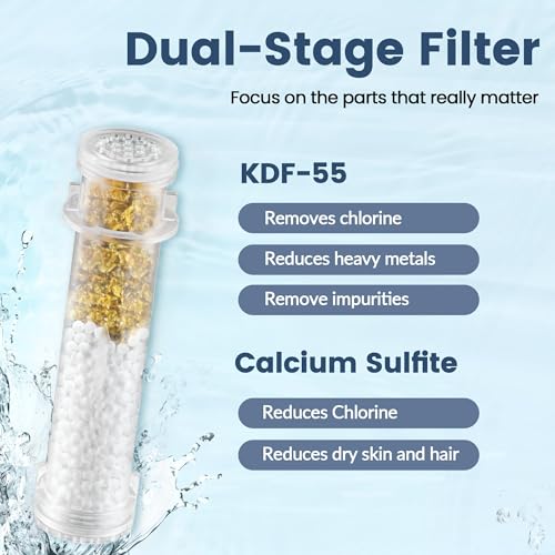 Filtered Shower Head with Handheld