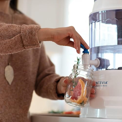 Gravity Water System Filter