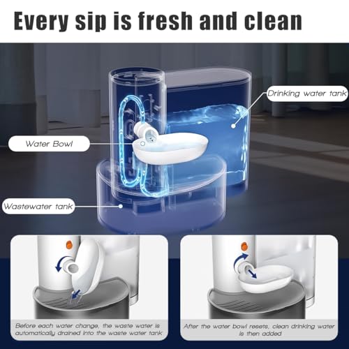 Smart Wireless Pet Water Fountain (6 Pound)