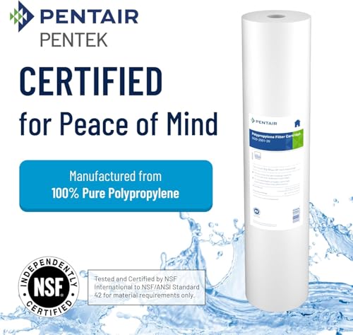 Pentair Pentek DGD