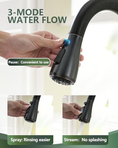 Kitchen Faucet with Pull Down Sprayer
