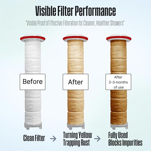 POSEION BT100 MS Filtered Shower Head