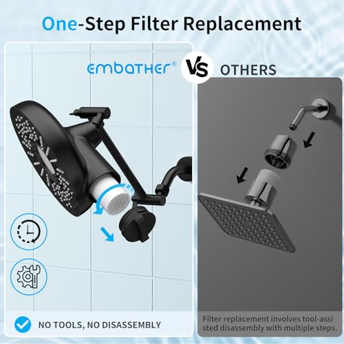 8 Inch Filtered Shower Head with Extension Arm Matt Black