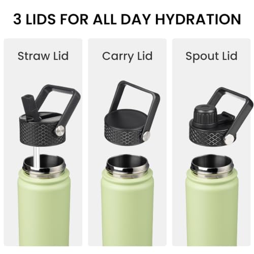 22 oz Insulated Stainless Steel Water Bottle with Straw Lid