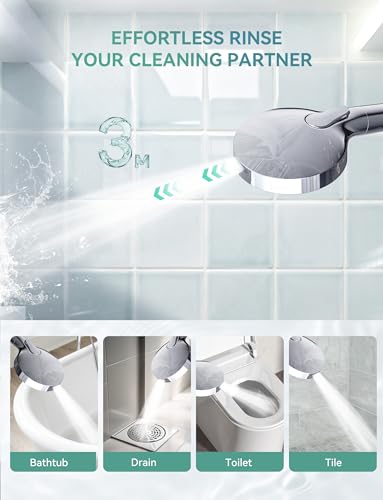 Filtered Shower Head with Handheld