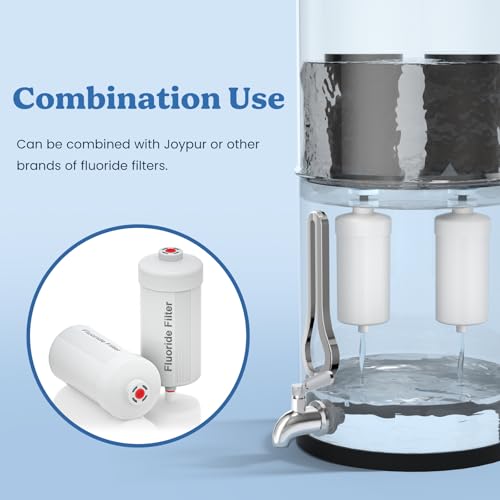 PF 1 Black Thickened Purification Elements (2 Count)