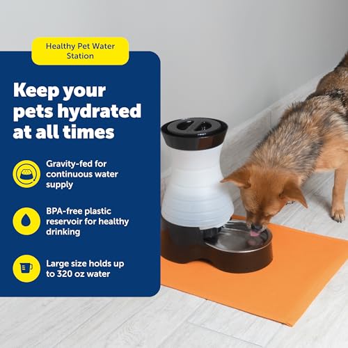 Healthy Pet Water Station