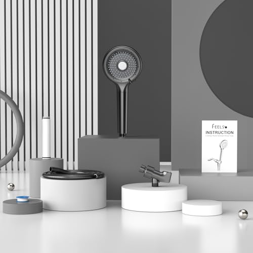 Filtered Shower Head with Handheld