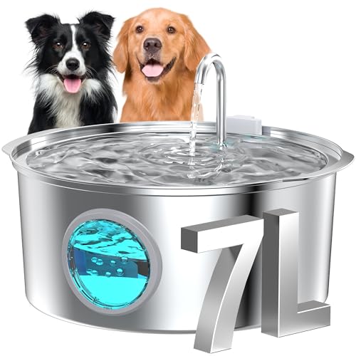 Dog Water Fountain for Large Dogs