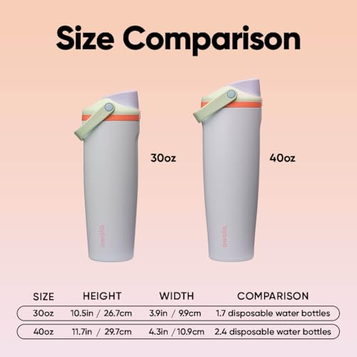 FreeSip Sway Stainless Steel Water Bottle 30 oz Beach House