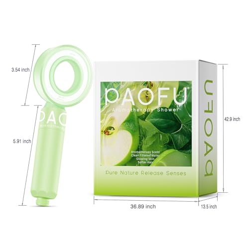 Filtered Shower Head with Handheld