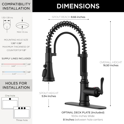 Black Kitchen Faucet with Pull Down Sprayer