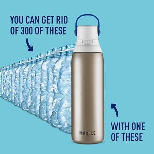 Stainless Steel Premium Filtering Water Bottle