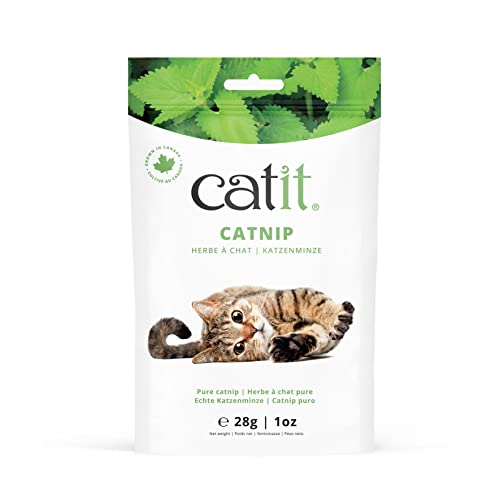 Dried Catnip for Stimulating Indoor and Outdoor Cats