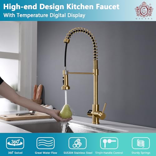 Kitchen Faucet with Temperature Digital Display