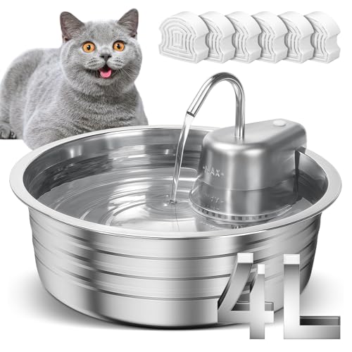 Cat Water Fountain