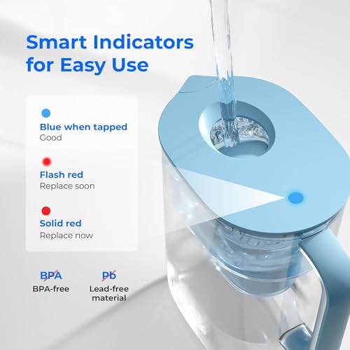 PT 07B Water Filter Pitcher with 3 Filters