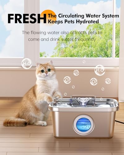 Cat & Dog Water Fountain