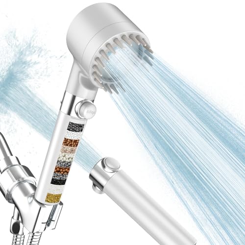 Filtered Shower Head with Handheld