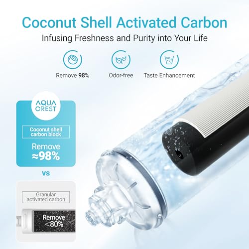 H 300 Water Filter Replacement for Pentair® Everpure H (2 Count)