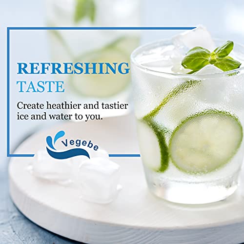 Inline Water Filter for Refrigerator (2 Count)
