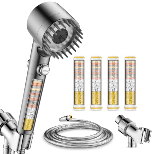 Filtered Shower Head with Handheld
