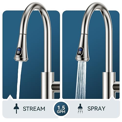 Kitchen Faucet with Temperature Digital Display