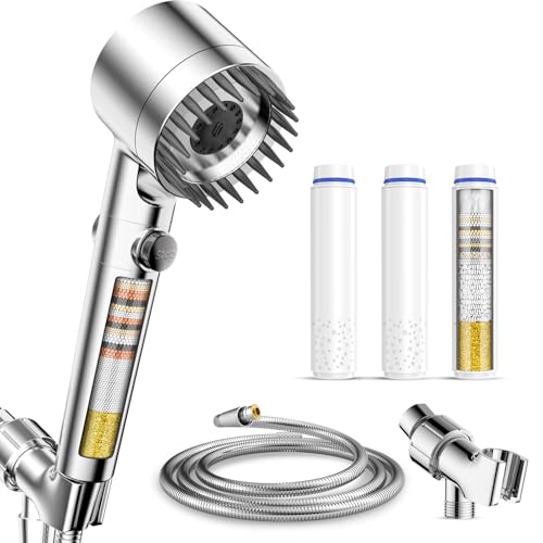 Filtered Shower Head with Handheld