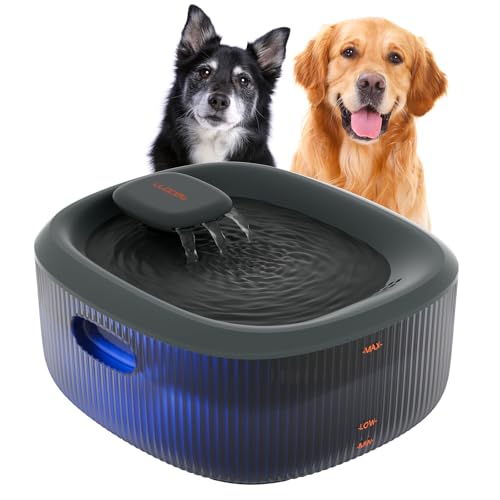 Dog Water Fountain for Large Dogs
