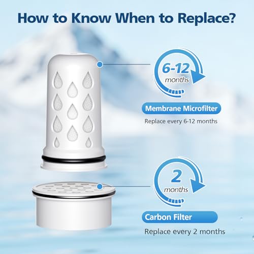 Water Pitcher Filter Replacement for LifeStraw Home (7 Count)