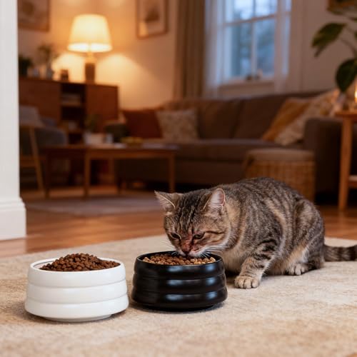 BOBO & Bowl Dog Water Bowl Food