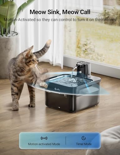 Cat Water Fountain Cordless