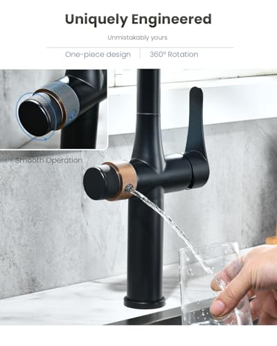 Black Kitchen Faucet with Water Filter