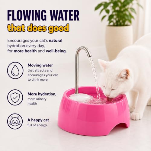Aqua MINI Portable Pet Water Fountain