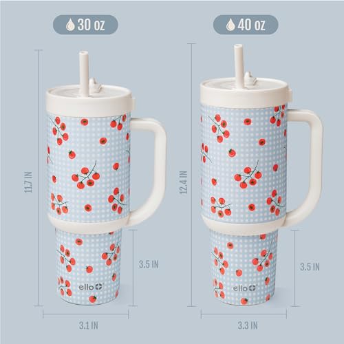Oasis 30oz Insulated Stainless Steel Tumbler with Straw