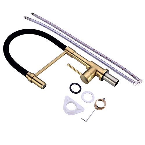 Gold and Black Kitchen Faucet