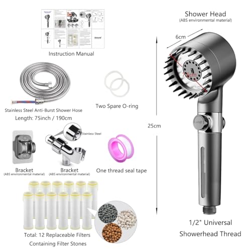 Filtered Shower Head with Handheld